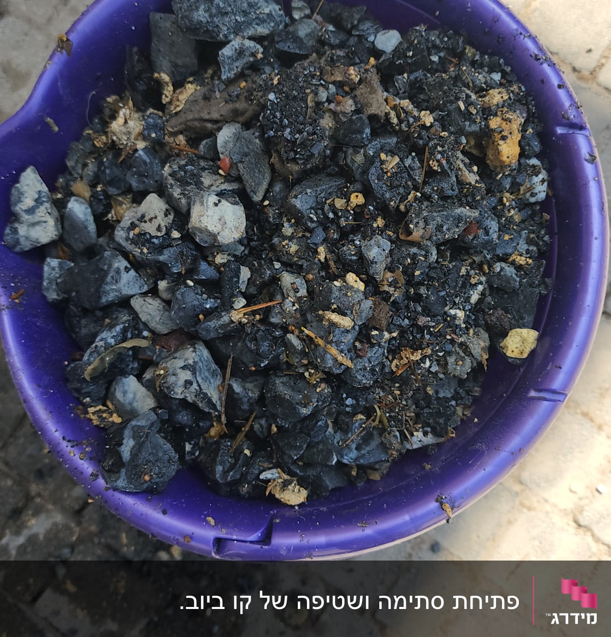 דלי סגול מלא באבנים וחול על רצפה מרוצפת